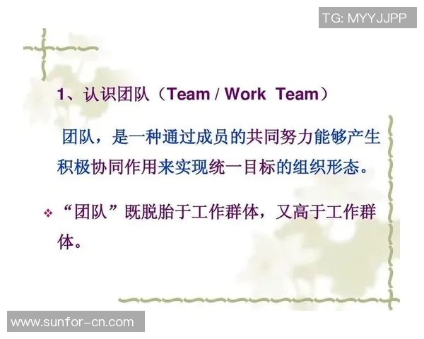 北京足球队团队协作的力量与魅力探索与分析