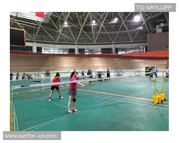 杭州羽毛球队近期状态分析与表现评估探讨