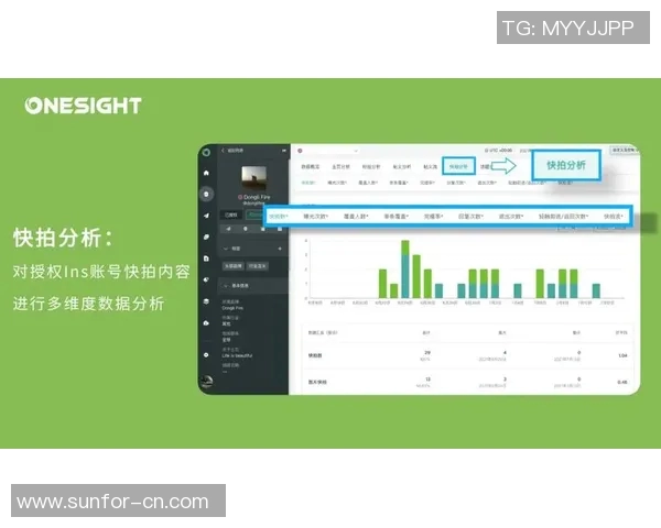 深入探讨Instagram平台的技术表现与数据分析方法