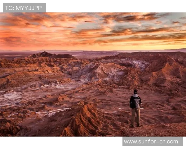 深度对话：探索陈强在网球世界中的奋斗与成长历程