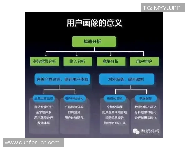 独家解析：WE战队成员个人能力深度对比与分析