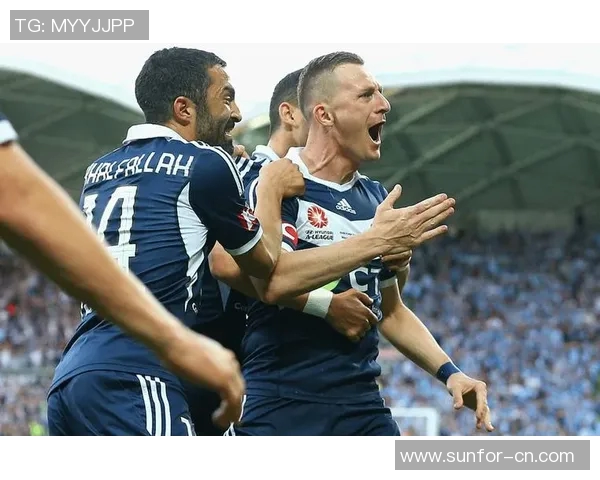 威灵顿凤凰主场迎战墨尔本球队争夺胜利的精彩对决