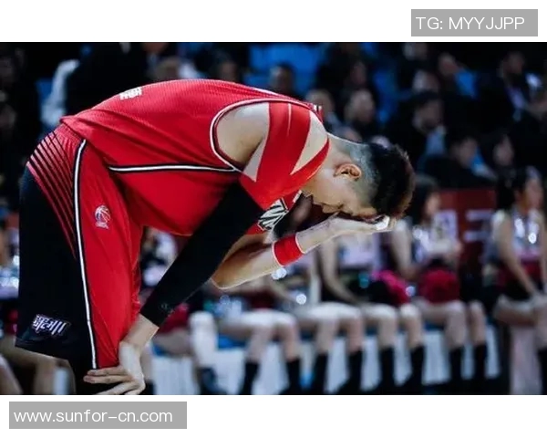 沈梓捷：从青年才俊到行业领军人物的成长之路与未来展望