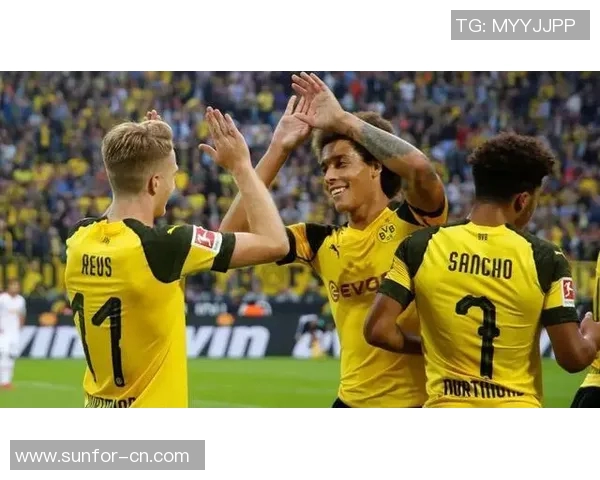 2019年纽伦堡与多特蒙德激战回顾及赛季表现分析